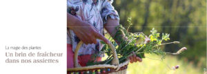 La magie des plantes en cuisine