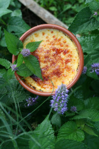 Crème brûlée à l’agastache et lait de brebis