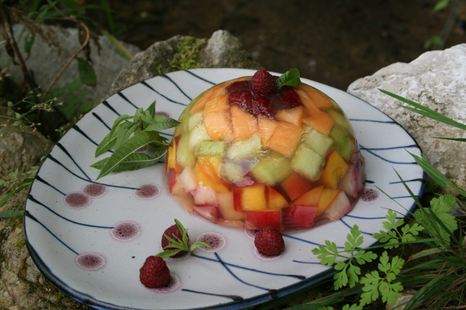 Salade de fruits en gelée de verveine fraiche Mangeurs Libres