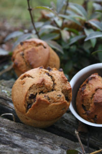 Petits cakes aux pépites chocolat d’après Marie CHIOCCA