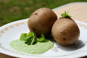 Sauce fraîche et acidulée à l’oxalis